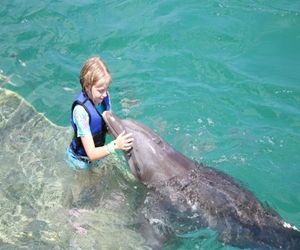 Play with Dolphins at Coral World Ocean Park