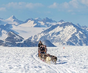 Trek or Dogsled on a Glacier