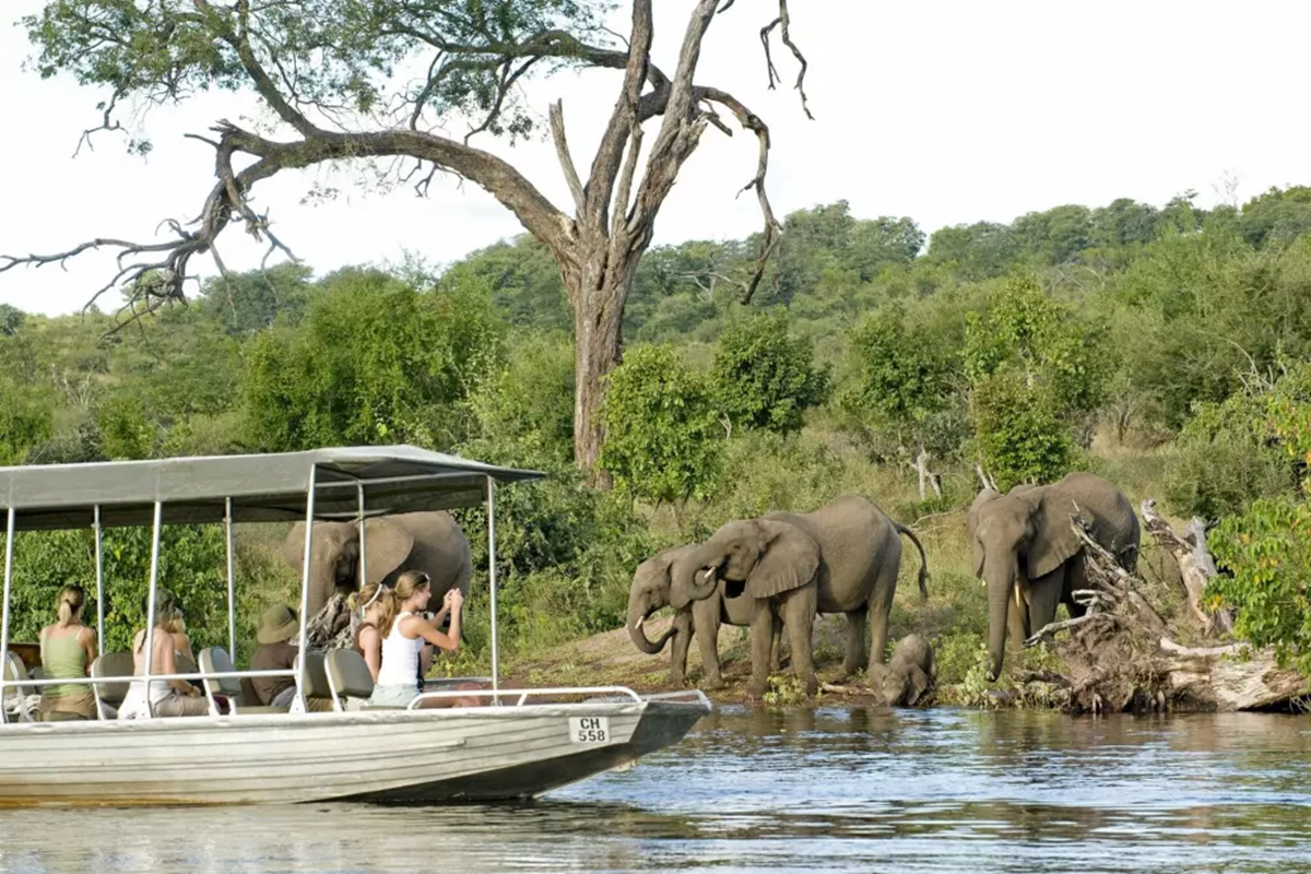 sanctuary-chobe-chilwero-lodge-botswana-safari-boating